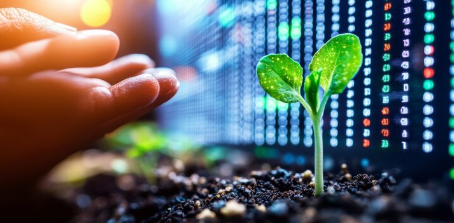 Current and predicted effects of climate change on South Africa’s grain industry