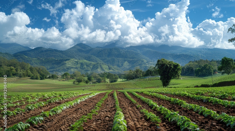 Renewed thrust for land reform measures expropriation, land ceilings, land register?